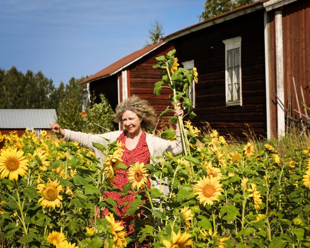 Anja kävelee auringonkukkapellon keskellä kädet ylös nostettuina, auringonkukka kädessään.