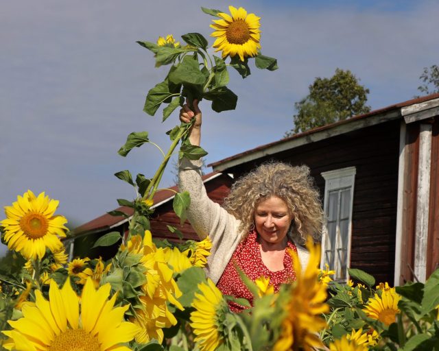 Anja auringonkukkapellossa